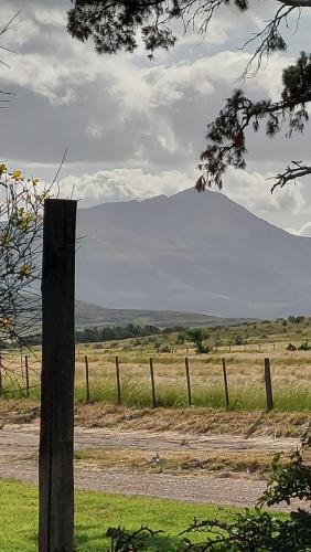 LOS VECINOS DE ENFRENTE AL HOSTEL